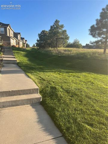 17067 Blue Mist Grove, Monument, CO 80132