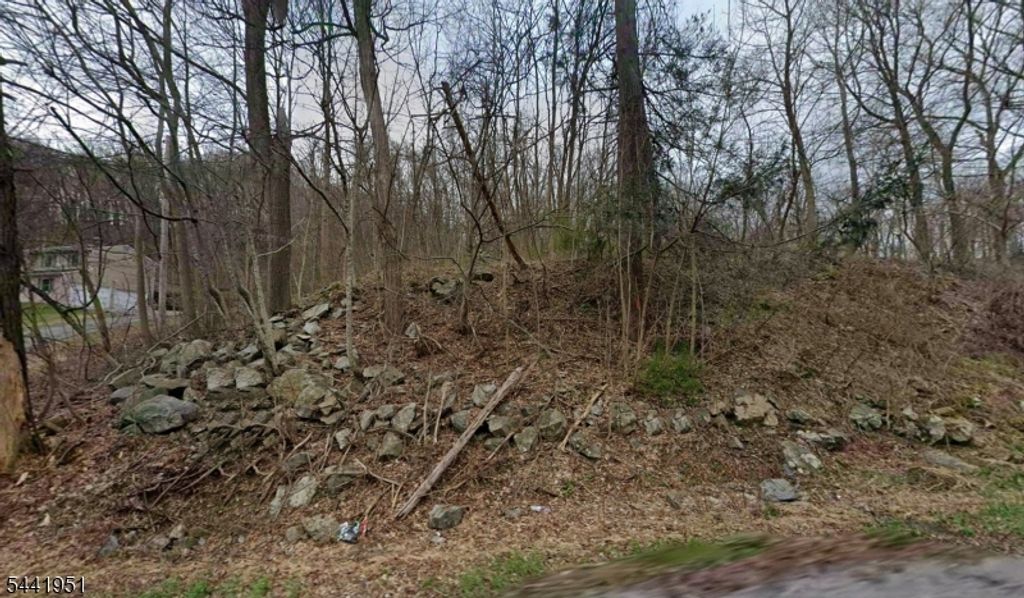 68 Lounsberry Hollow Rd, Vernon Twp., NJ 07461 — photo 4