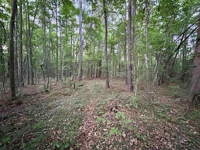 726 Walters Trail, Traskwood, AR 72167