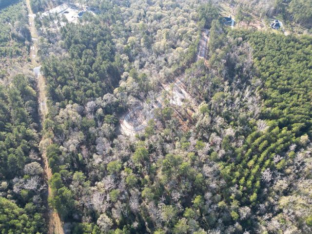 Lot 5 Livingston Farms Lane, Livingston, LA 70754