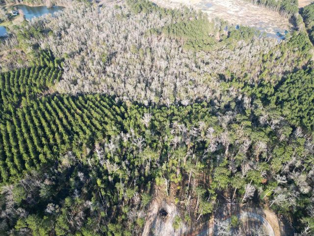 Lot 5 Livingston Farms Lane, Livingston, LA 70754