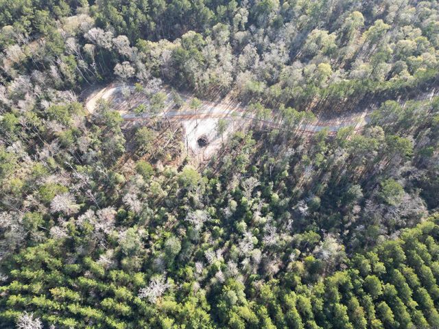 Lot 5 Livingston Farms Lane, Livingston, LA 70754