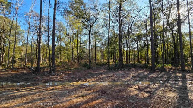 Lot 5 Livingston Farms Lane, Livingston, LA 70754