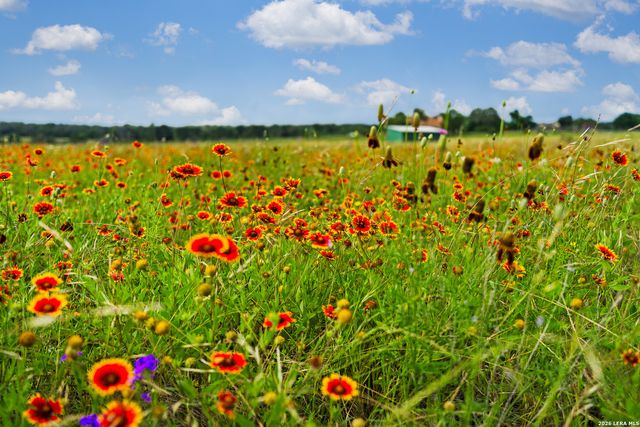 214 MARQUARDT RD, Boerne, TX 78006