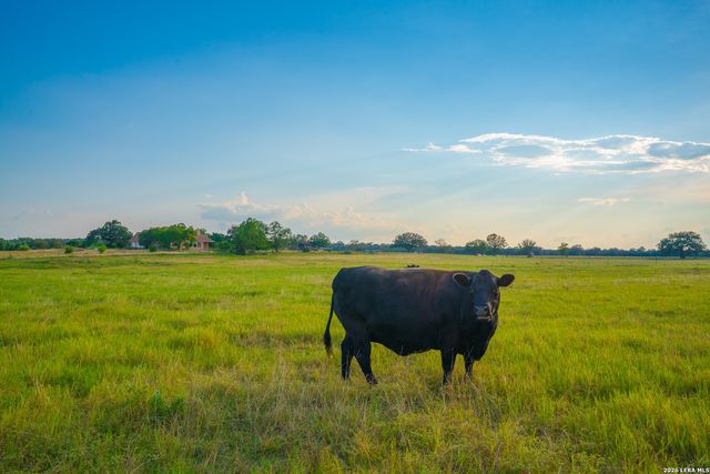 214 MARQUARDT RD, Boerne, TX 78006