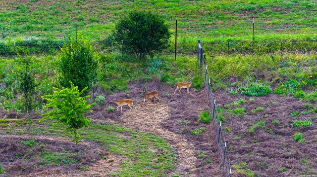 214 MARQUARDT RD, Boerne, TX 78006