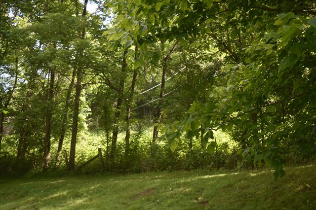 86 Dog Branch Rd, S, Pleasant Shade, TN 37145