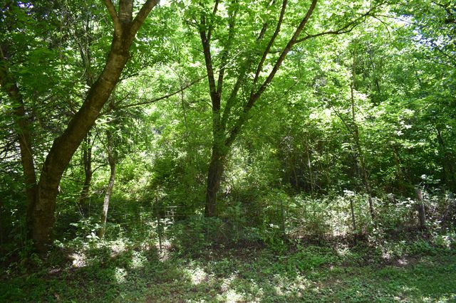 86 Dog Branch Rd, S, Pleasant Shade, TN 37145