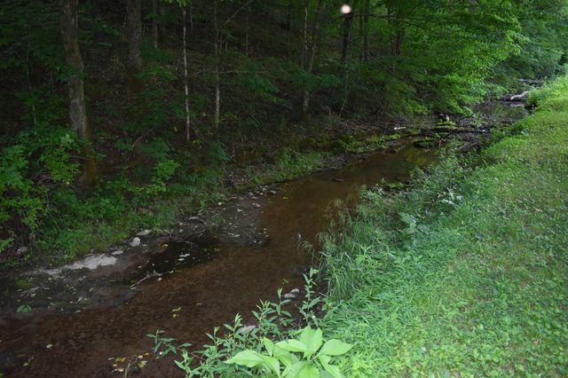 86 Dog Branch Rd, S, Pleasant Shade, TN 37145