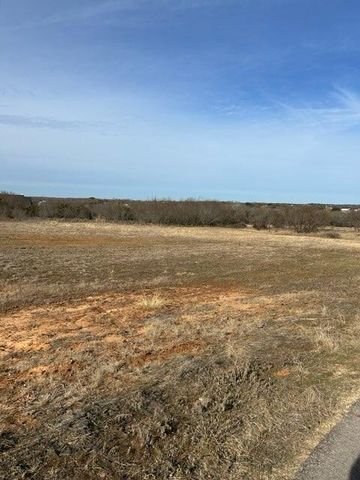 1028 Annabelles Avenue, Weatherford, TX 76087