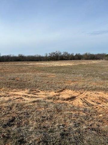 1028 Annabelles Avenue, Weatherford, TX 76087