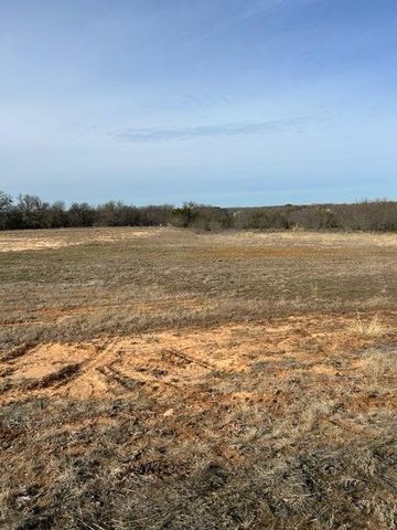 1028 Annabelles Avenue, Weatherford, TX 76087