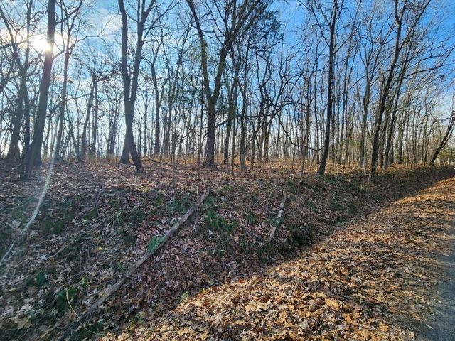 Lot 8 Chelmsworth Circle, Bella Vista, AR 72715