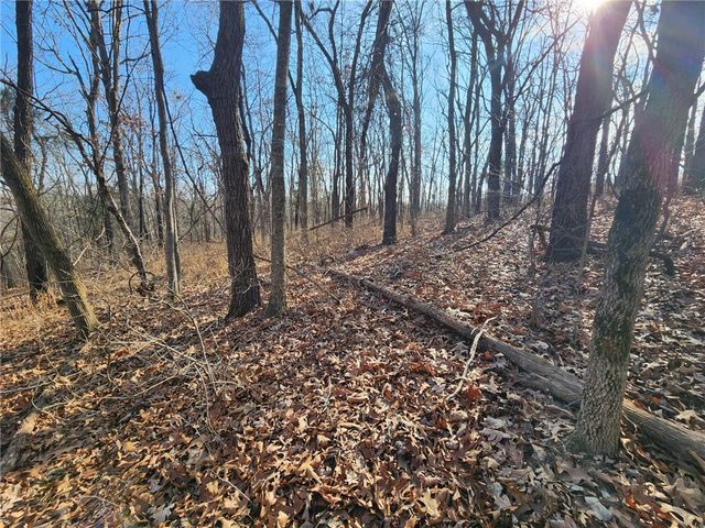 Lot 8 Chelmsworth Circle, Bella Vista, AR 72715