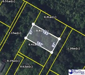 TBD N Fortune St, Florence, SC 29506