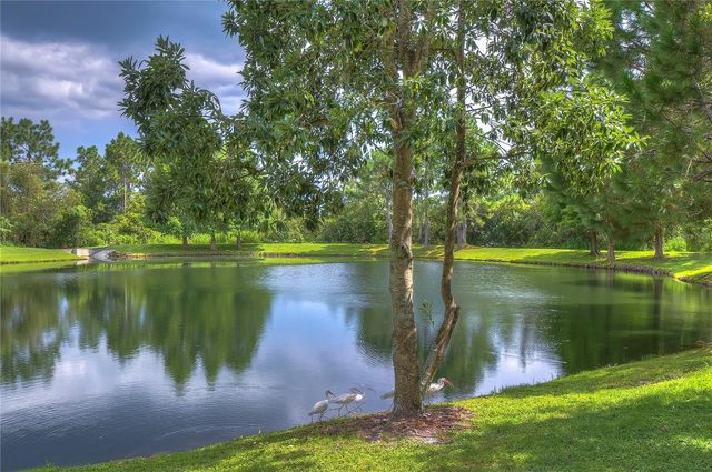 31470 FAIRHILL DRIVE, Wesley Chapel, FL 33543