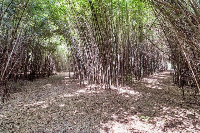 500 N Parler Avenue, Saint George, SC 29477