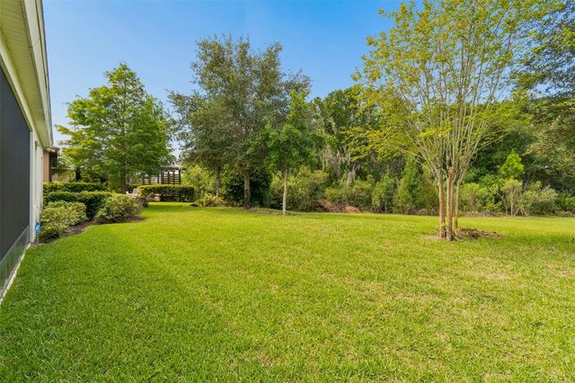 3834 BALCONY BREEZE DRIVE, Land O Lakes, FL 34638