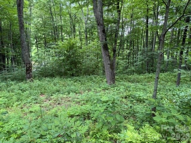 Lot 36 Odalu Trail 36, Maggie Valley, NC 28751