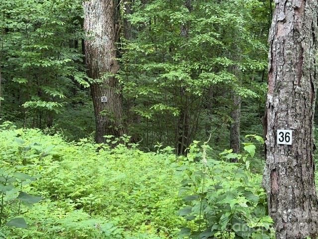 Lot 36 Odalu Trail 36, Maggie Valley, NC 28751