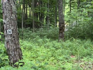 Lot 36 Odalu Trail 36, Maggie Valley, NC 28751