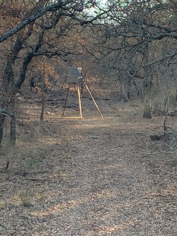 8381 Salt Creek Road, Jacksboro, TX 76458