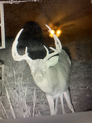 8381 Salt Creek Road, Jacksboro, TX 76458