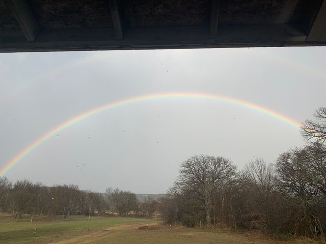 8381 Salt Creek Road, Jacksboro, TX 76458