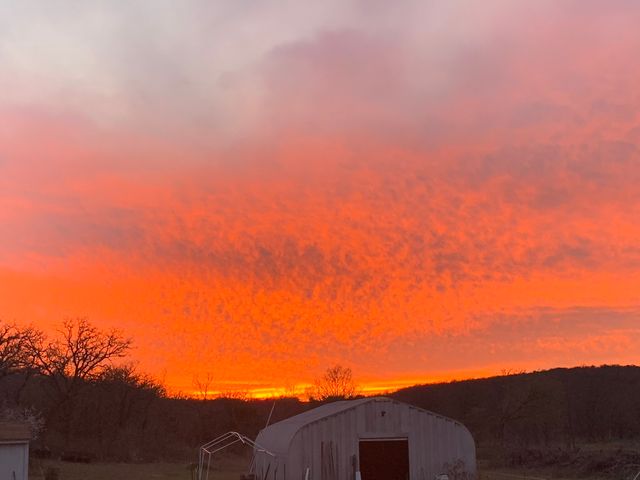 8381 Salt Creek Road, Jacksboro, TX 76458