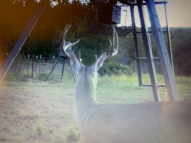 8381 Salt Creek Road, Jacksboro, TX 76458