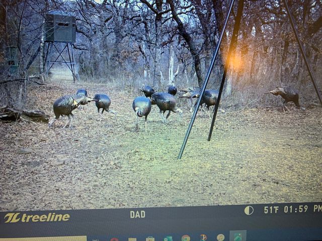 8381 Salt Creek Road, Jacksboro, TX 76458