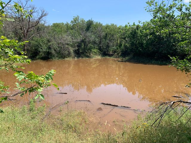 8381 Salt Creek Road, Jacksboro, TX 76458