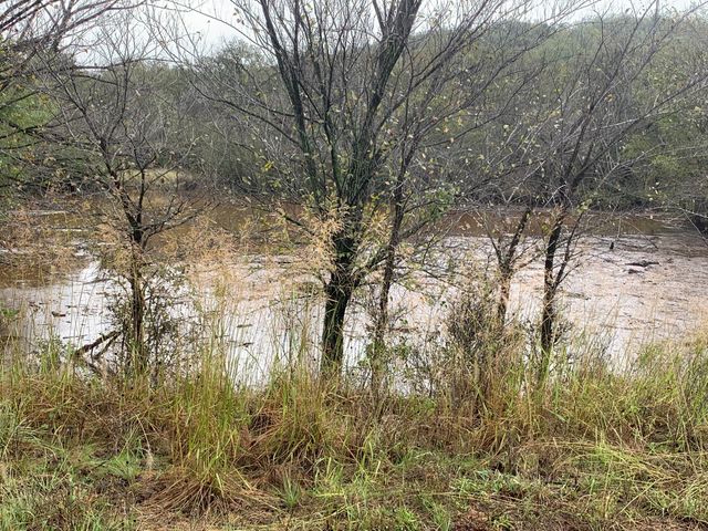 8381 Salt Creek Road, Jacksboro, TX 76458