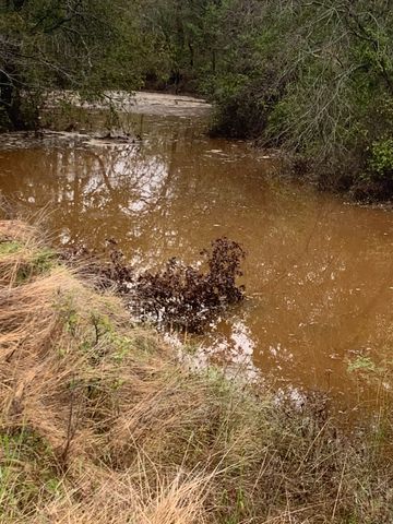 8381 Salt Creek Road, Jacksboro, TX 76458