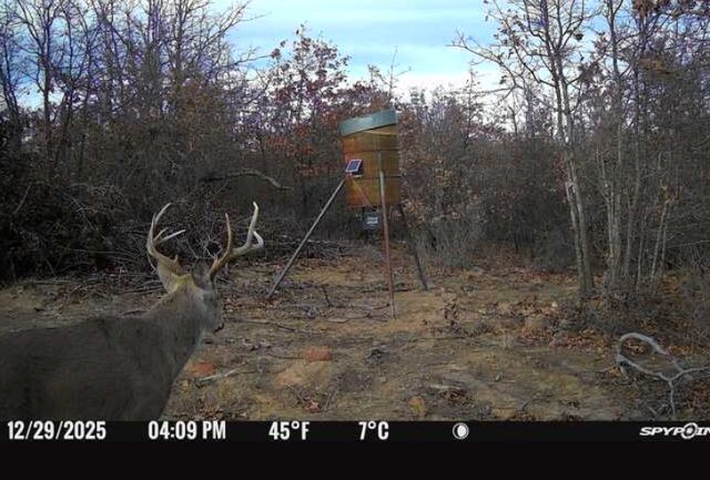 8381 Salt Creek Road, Jacksboro, TX 76458