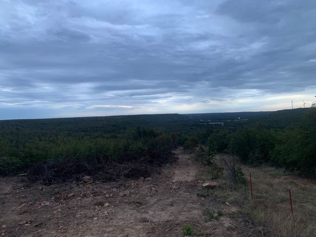 8381 Salt Creek Road, Jacksboro, TX 76458