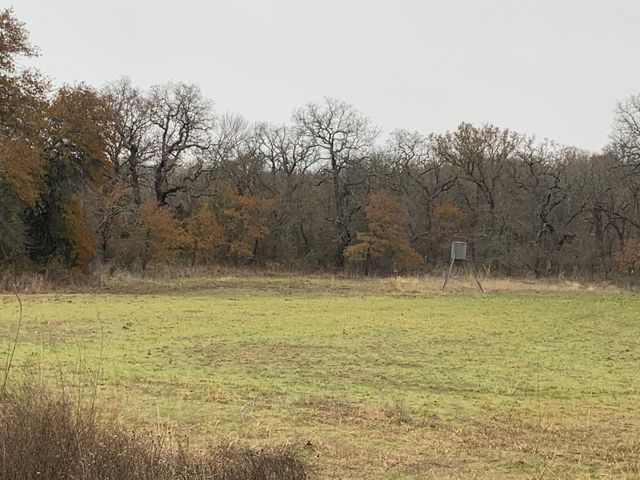 8381 Salt Creek Road, Jacksboro, TX 76458