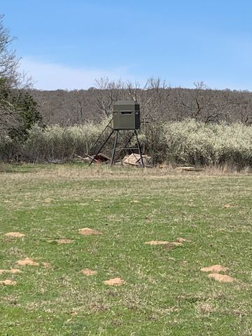 8381 Salt Creek Road, Jacksboro, TX 76458