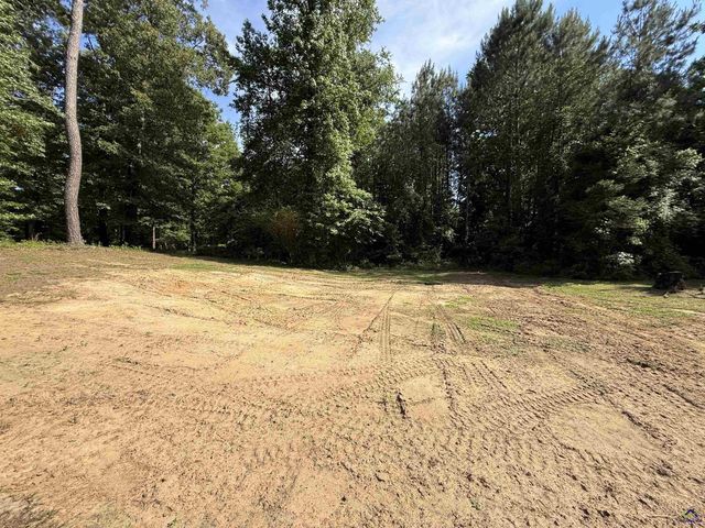 406 Mt Zion Rd, Bonaire, GA 31005