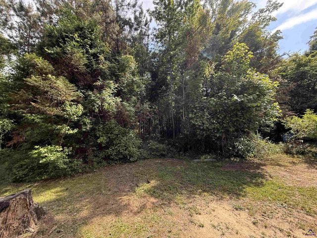 406 Mt Zion Rd, Bonaire, GA 31005