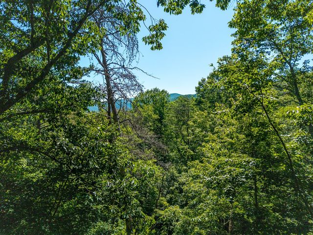 775 Mountain Oak Road, Ellijay, GA 30540