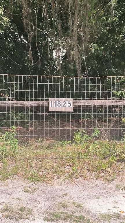 11825 NE 235TH STREET, Fort Mc Coy, FL 32134