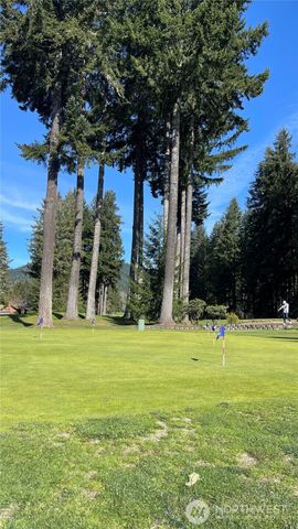 81 N Duckabush Drive E, Hoodsport, WA 98548