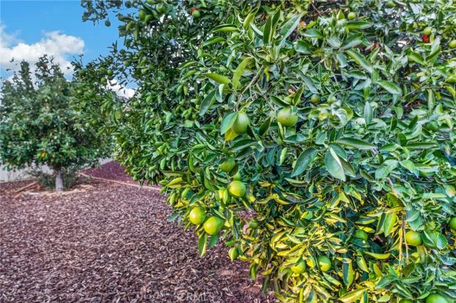 1281 Sunburst Drive, Beaumont, CA 92223
