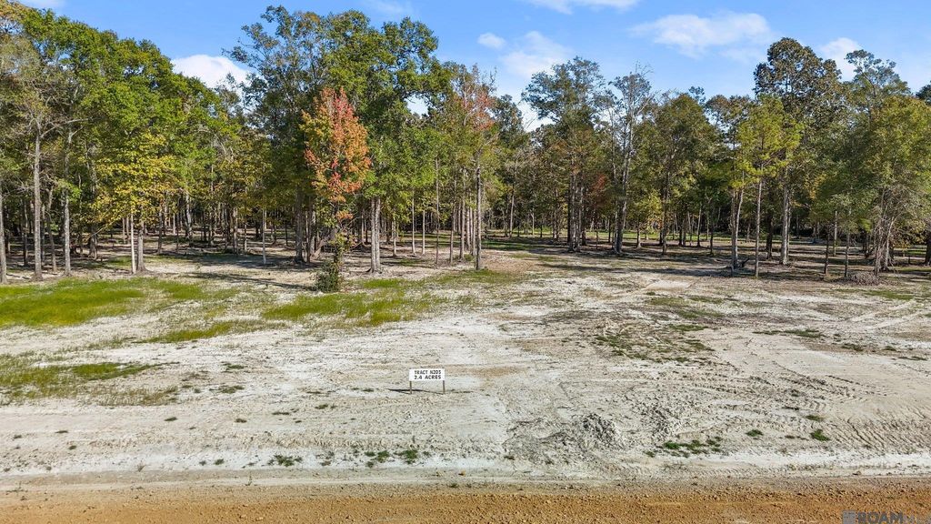 N-2-D-3 Little Azalea Drive, Zachary, LA 70791