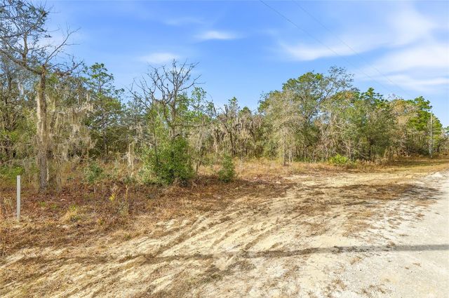CAYMAN ROAD, Weeki Wachee, FL 34614