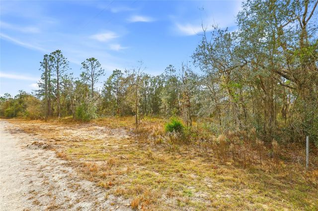 CAYMAN ROAD, Weeki Wachee, FL 34614