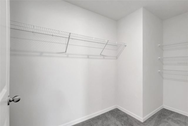 7737 ROSEWOOD GARDEN LOOP, Tampa, FL 33637