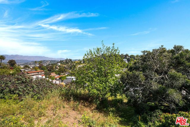 2231 Moore Street, Los Angeles, CA 90039