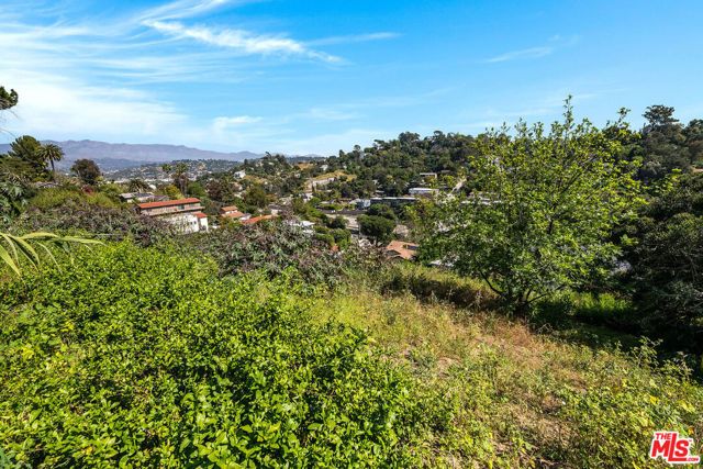 2231 Moore Street, Los Angeles, CA 90039